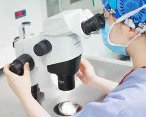 试管前调理身体养卵子：适合喝什么蛋白粉