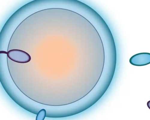 江西供卵大约多少钱？南昌取卵代生医院排名