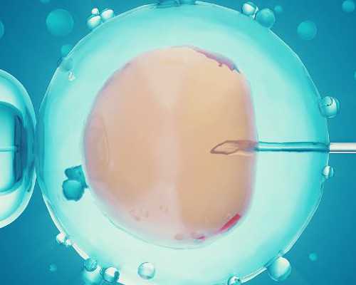 三代试管漫漫求子路：真实案例分享