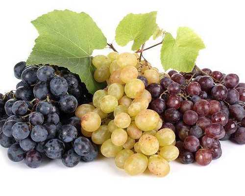 江西代生试管机构指南：南昌怎么申请供卵