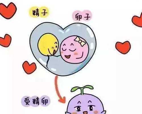 南昌IVM试管费用：三代助孕包成功多少钱